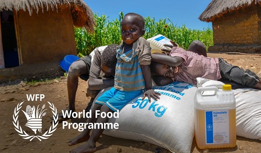 WFP Jobs in South Sudan