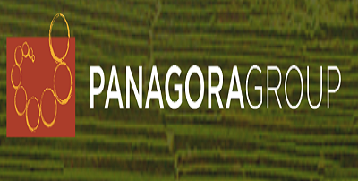 Panagora Group Jobs